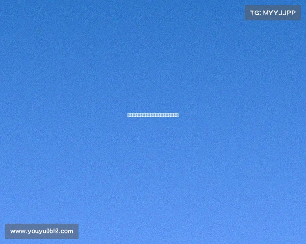 足球俱乐部转会规划方案分析与实施策略研究